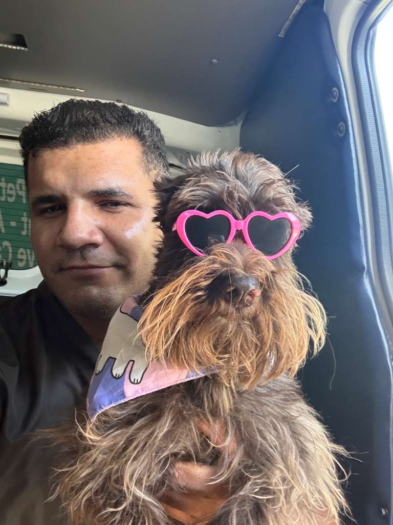 Dental Care - Royal Touch Pet Dental