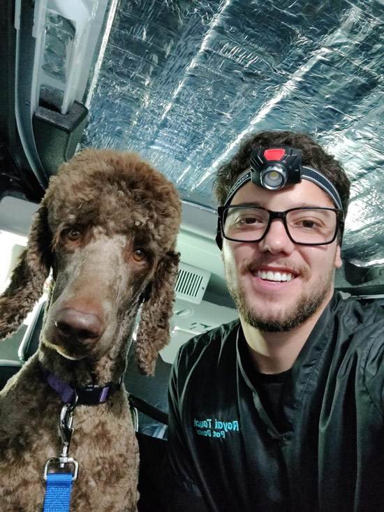 Dental Care - Royal Touch Pet Dental