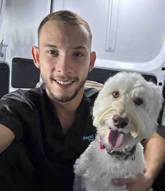 Dental Care - Royal Touch Pet Dental