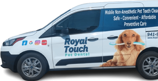 Royal Touch Pet Dental mobile service van