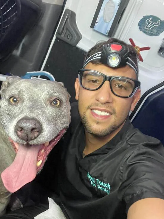Royal Touch technician with a happy gray pit bull after teeth cleaning