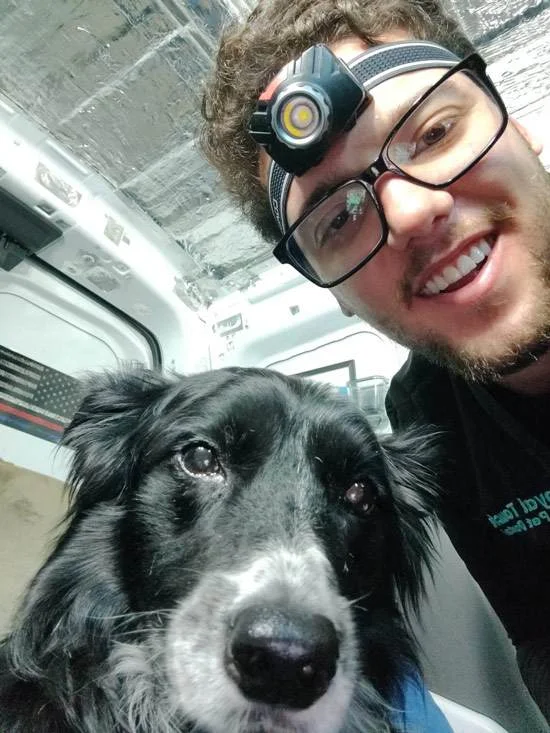 Anesthesia Free Dog Teeth Cleaning vs Traditional Methods
