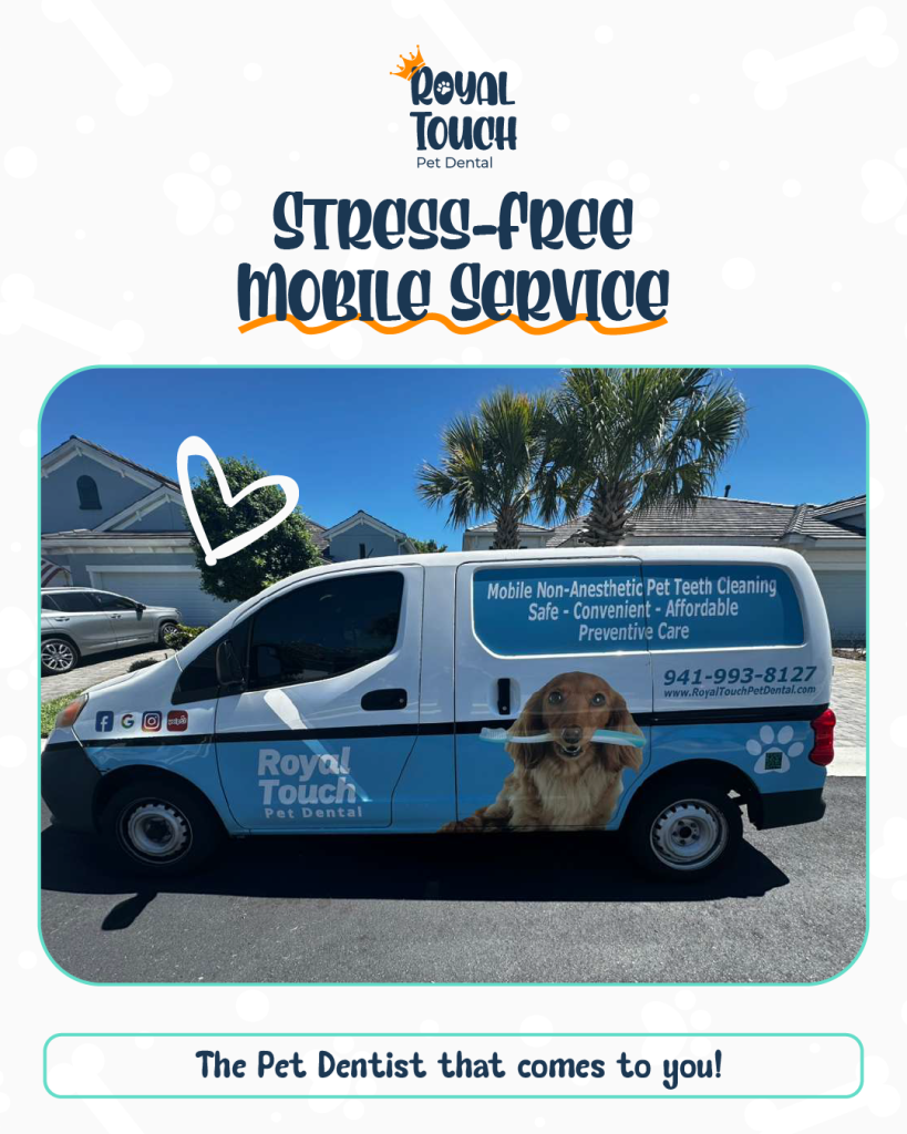Stress Free Mobile Service