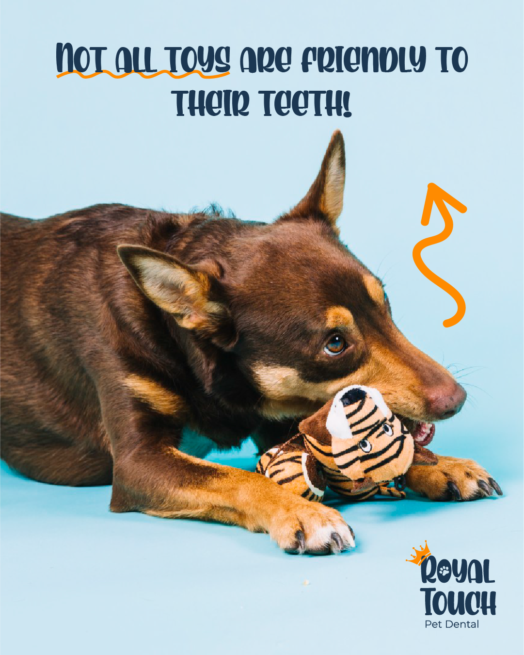 The Best (and Worst) Chews for Dental Health