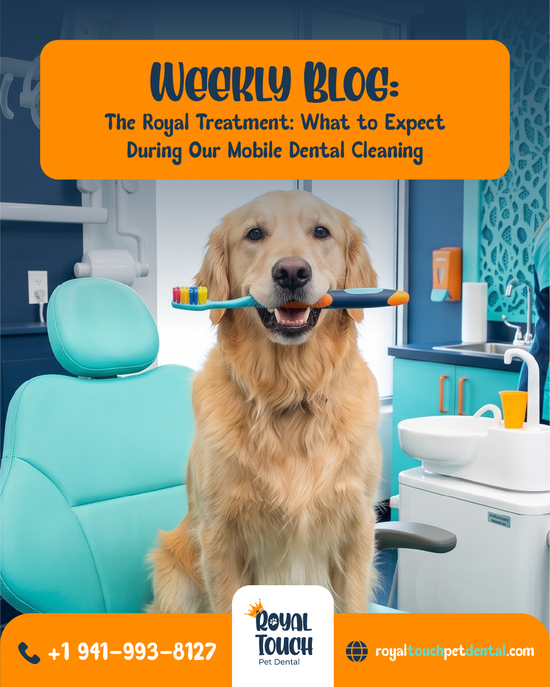 The Royal Treatment: What to Expect During Our Mobile Dental Cleaning