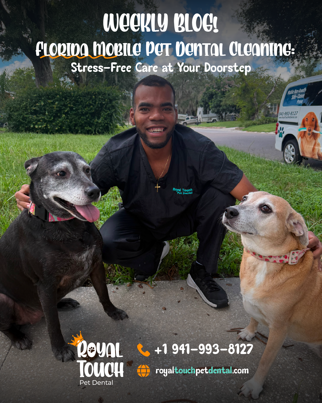 Florida Mobile Pet Dental Cleaning: Stress-Free Care at Your Doorstep