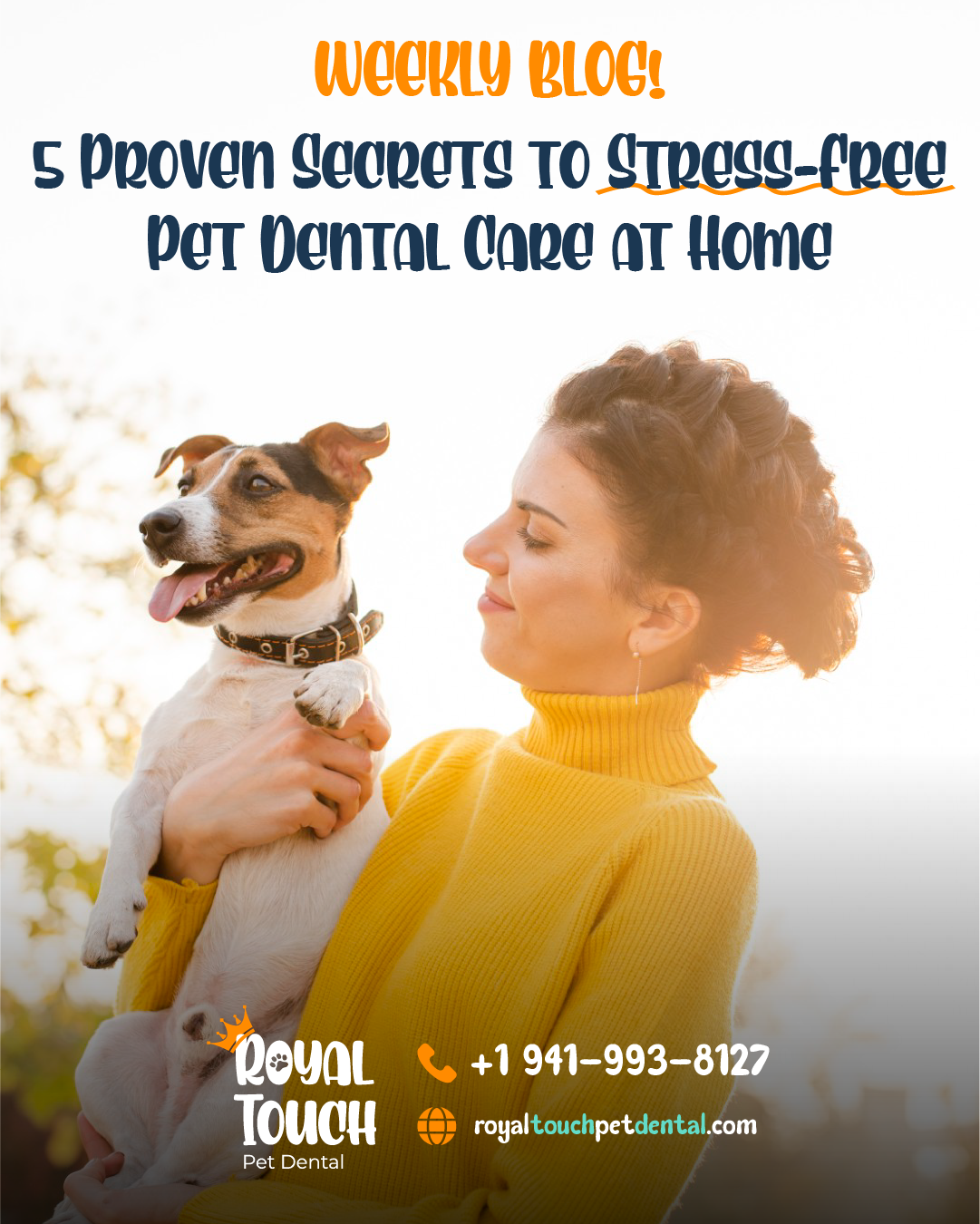 5 Proven Secrets to Stress-Free Pet Dental Care at Home